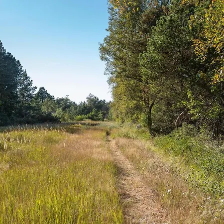 Amazing In Lbk With 2 Bedrooms Ålbæk